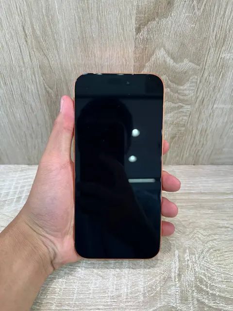 iPhone 17 Pro Max 256GB